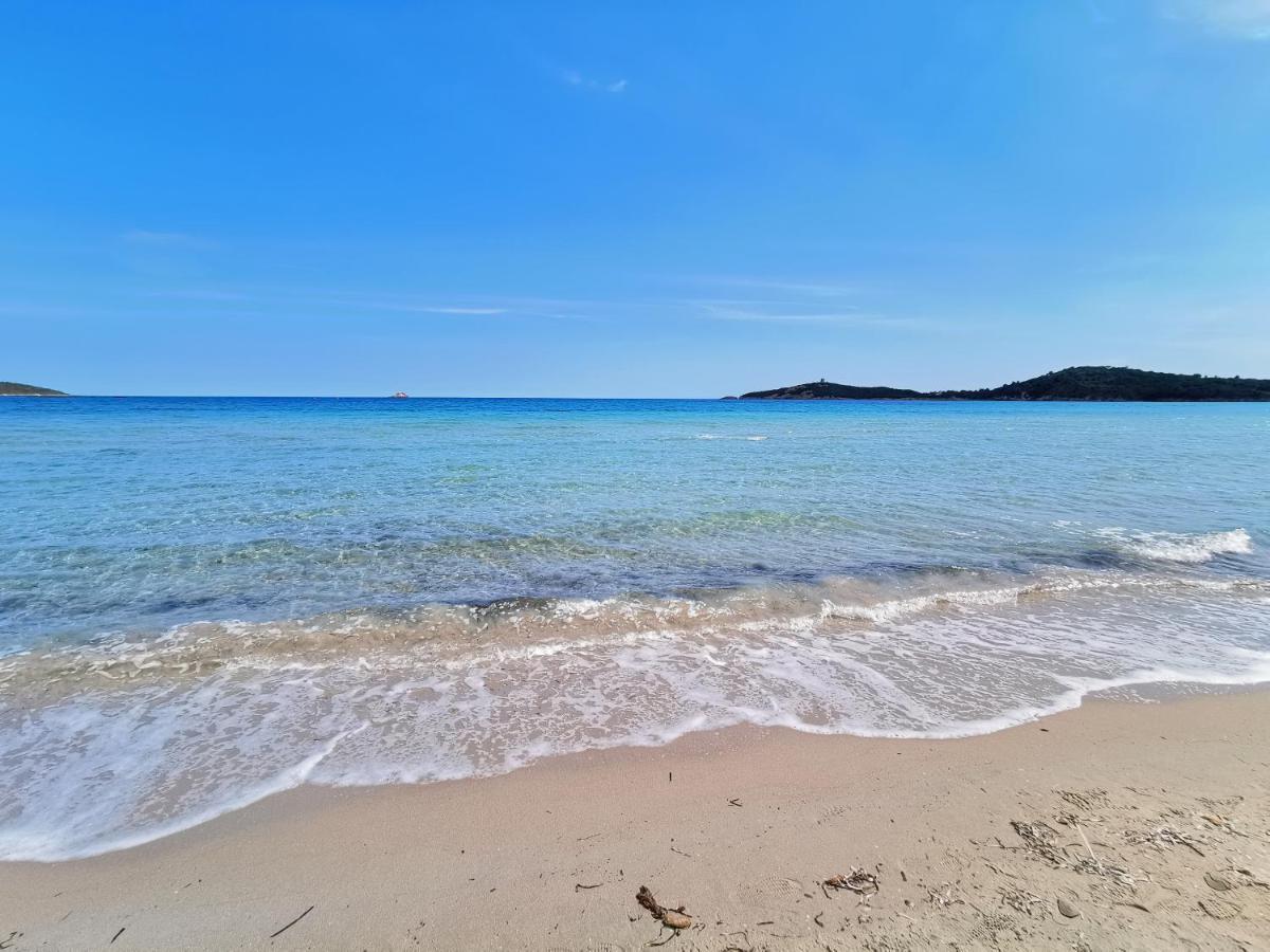 Appartement Jardin Et Piscine Les Anges Du Maquis Location Corse-Du-Sud Conca Kültér fotó